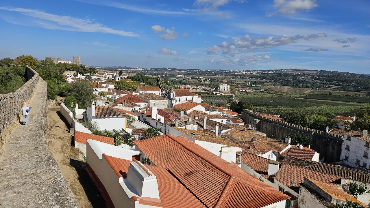 Exchange of driving license in Portugal